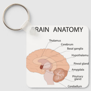 Brain anatomy key ring