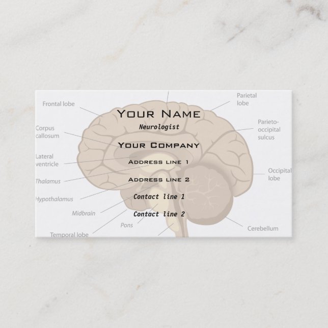 Brain anatomy neurologist Business Card (Front)