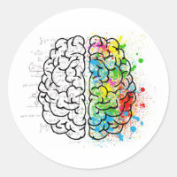 brain