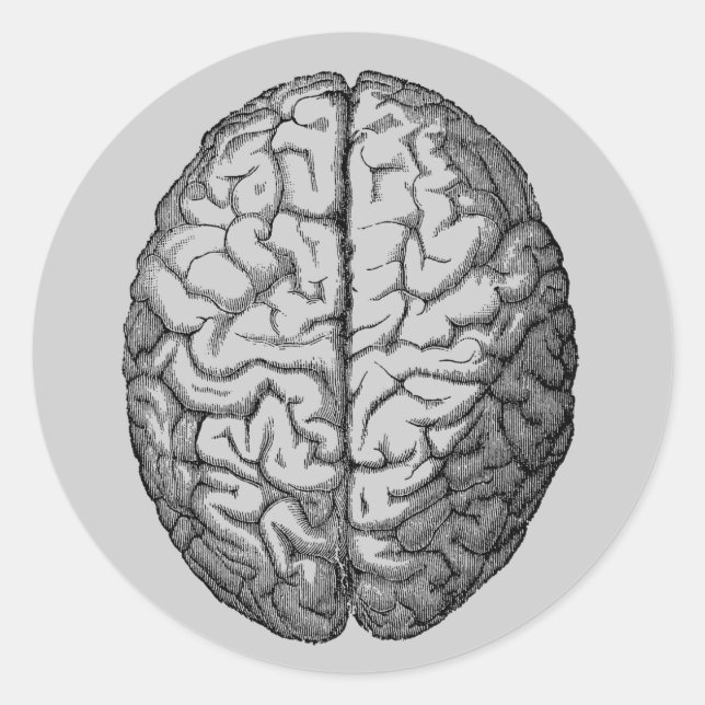 Brain Classic Round Sticker (Front)