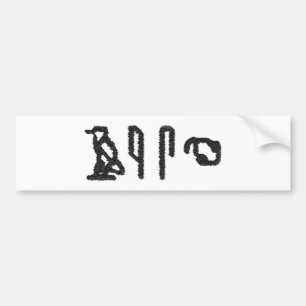 Brain Hieroglyphics Bumper Sticker