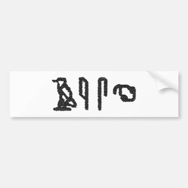 Brain Hieroglyphics Bumper Sticker (Front)