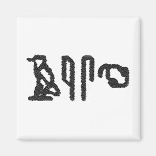 Brain Hieroglyphics Magnet