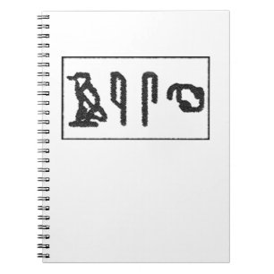 Brain Hieroglyphics Spiral Notebook