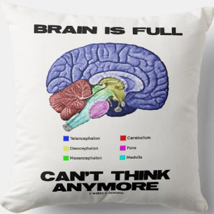 Brain Is Full Can't Think Anymore Anatomical Humou Cushion