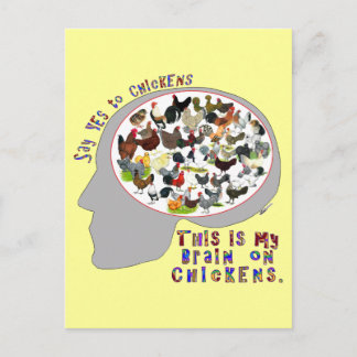 Brain On Chickens Postcard