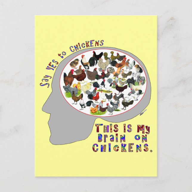 Brain On Chickens Postcard (Front)