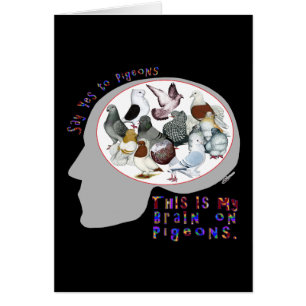 Brain On Pigeons