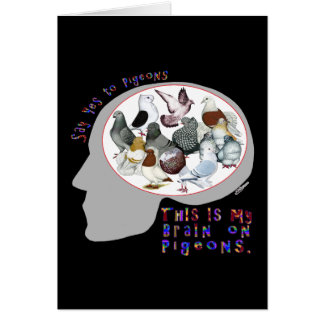 Brain On Pigeons