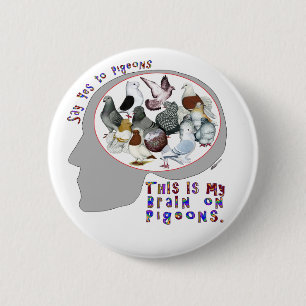 Brain On Pigeons 6 Cm Round Badge