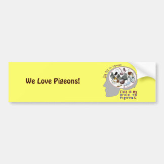 Brain On Pigeons Bumper Sticker