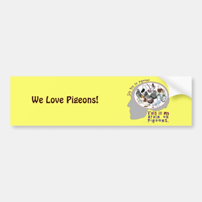 Brain On Pigeons Bumper Sticker (Front)