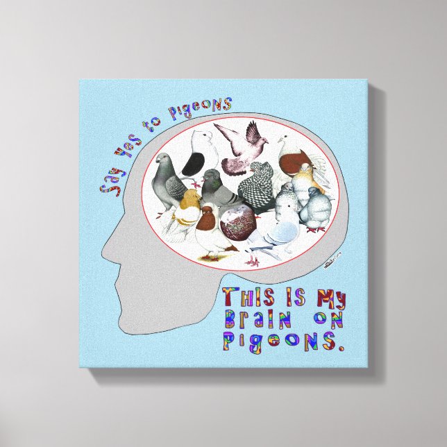 Brain On Pigeons Canvas Print (Front)