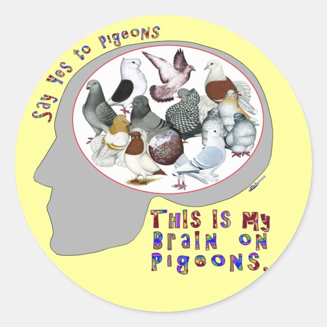 Brain On Pigeons Classic Round Sticker (Front)