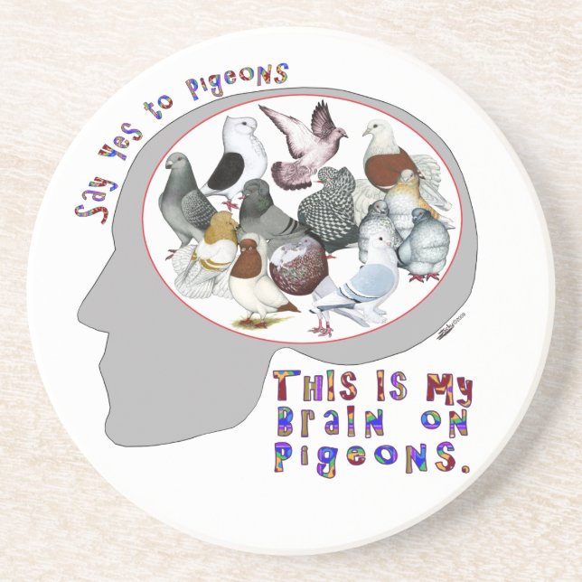 Brain On Pigeons Coaster (Front)