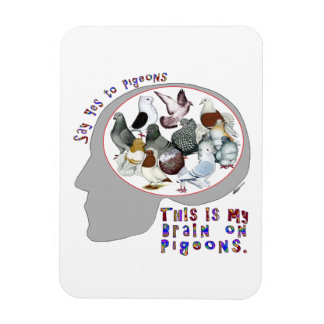 Brain On Pigeons Magnet