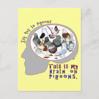 Brain On Pigeons Postcard