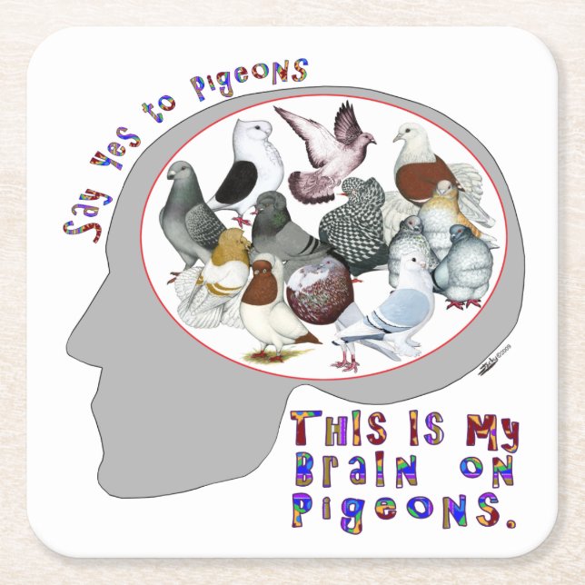 Brain On Pigeons Square Paper Coaster (Front)
