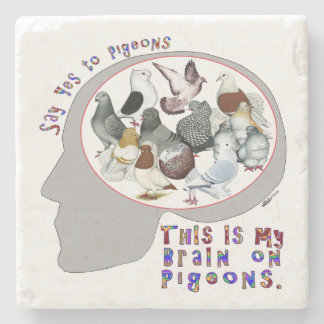 Brain On Pigeons Stone Coaster