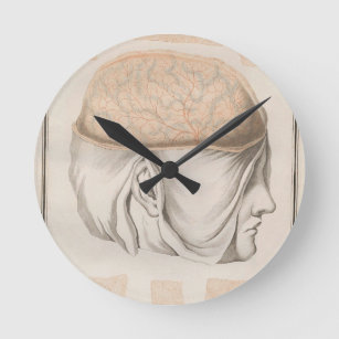 Brain One - Neuroanatomy Round Clock