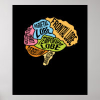 Brain Parts Surgery Doctor Neurology Surgeon Graph