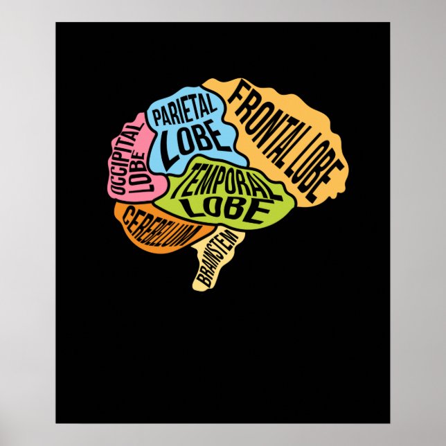 Brain Parts Surgery Doctor Neurology Surgeon Graph Poster (Front)