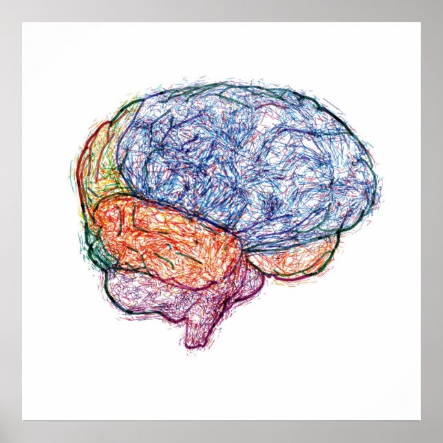 brain poster (Front)