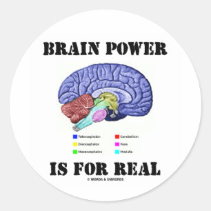 Brain Power Is For Real (Brain Anatomy Attitude) Classic Round Sticker