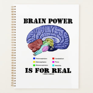 Brain Power Is For Real Brain Anatomy Attitude Planner