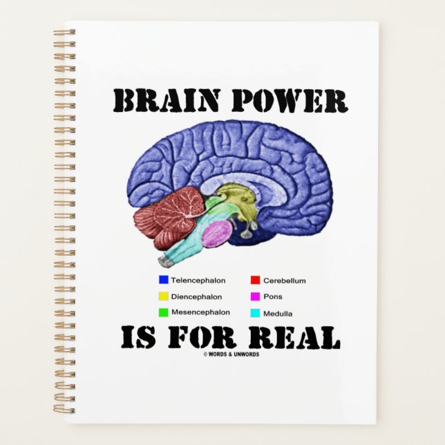 Brain Power Is For Real Brain Anatomy Attitude Planner (Front)