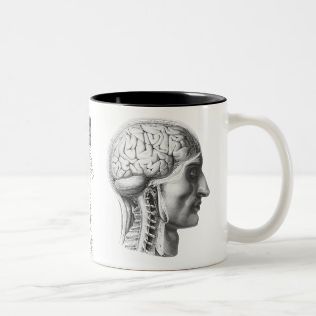 brain revealed Two-Tone coffee mug (Right)