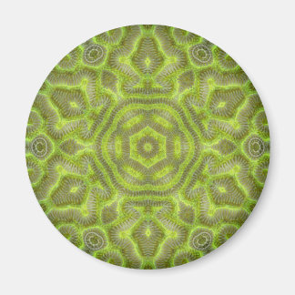 Brain Star Trilobite Magnet