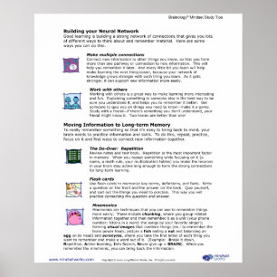 Brainology® Poster 6: Building Your Neural Networ