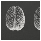 Brains!