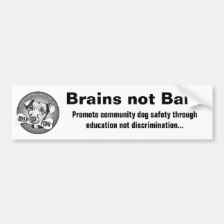 Brains not Bans (white) Bumper Sticker