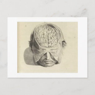 Brains Postcard