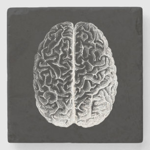 Brains! Stone Coaster