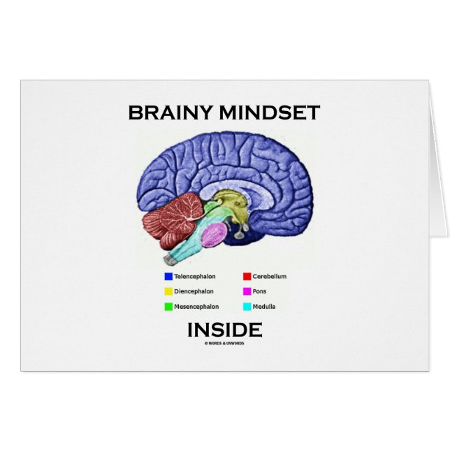 Brainy Mindset Inside (Anatomical Brain) (Front Horizontal)