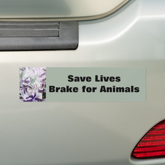 Brake for Animals Purple Cat Bumper Sticker (On Car)