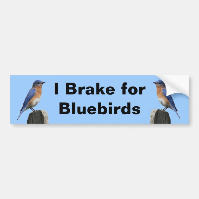 Brake for Bluebirds 2 Bumper Sticker (Front)