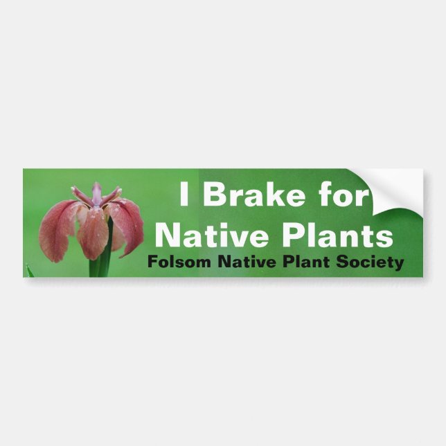 Brake for Native Plants Bumper Sticker (Front)
