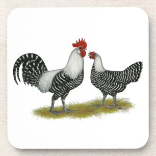 Brakel Chickens Coaster