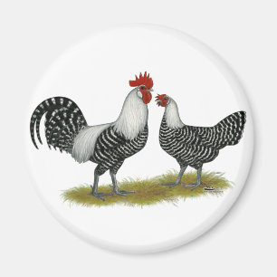 Brakel Chickens Magnet