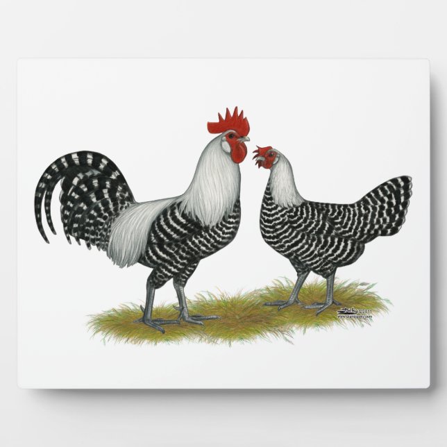 Brakel Chickens Plaque (Front)
