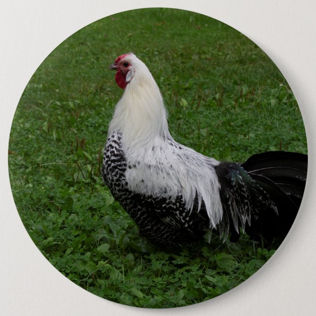 Brakel Hahn 6 Cm Round Badge (Front)