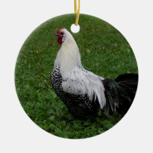 Brakel Hahn Ceramic Tree Decoration