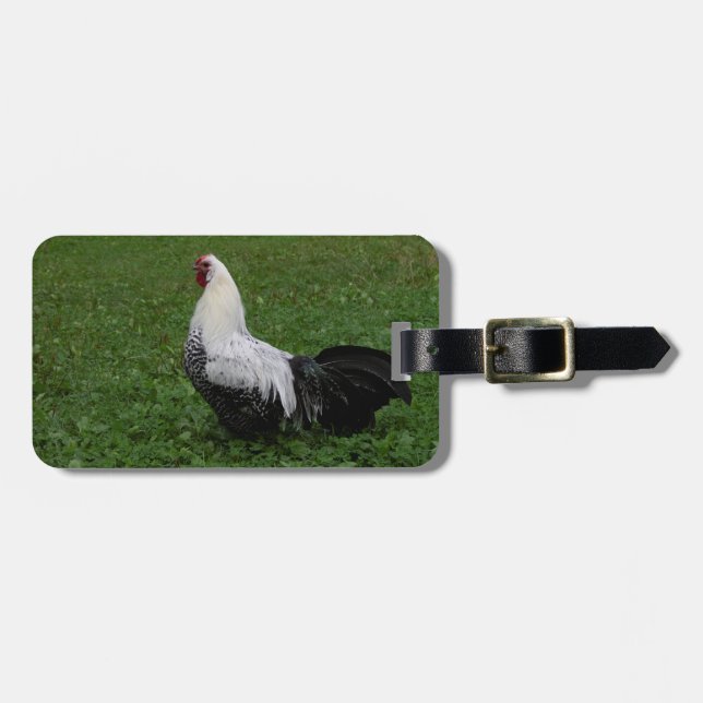 Brakel Hahn Luggage Tag (Front Horizontal)