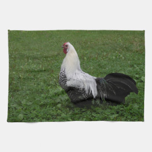 Brakel Hahn Tea Towel