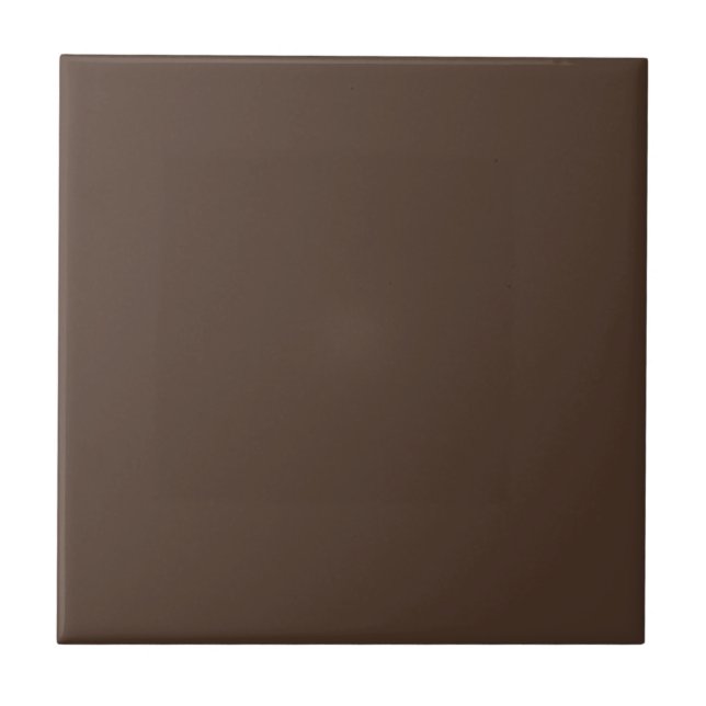 Brambly Bush Brown Square Kitchen and Bathroom Tile (Front)