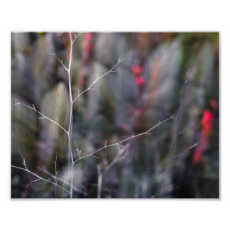 branch abstract photo print